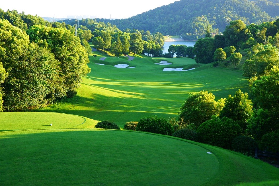 1612756433535482.jpg 03.JPG