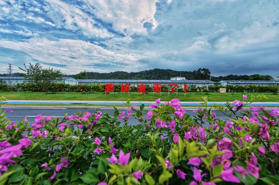 1645176212812395.jpg 6.jpg