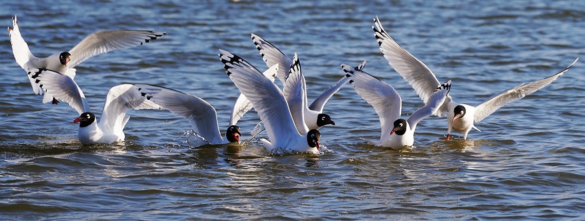 1645695019553316.jpg 亮點1-1.jpg