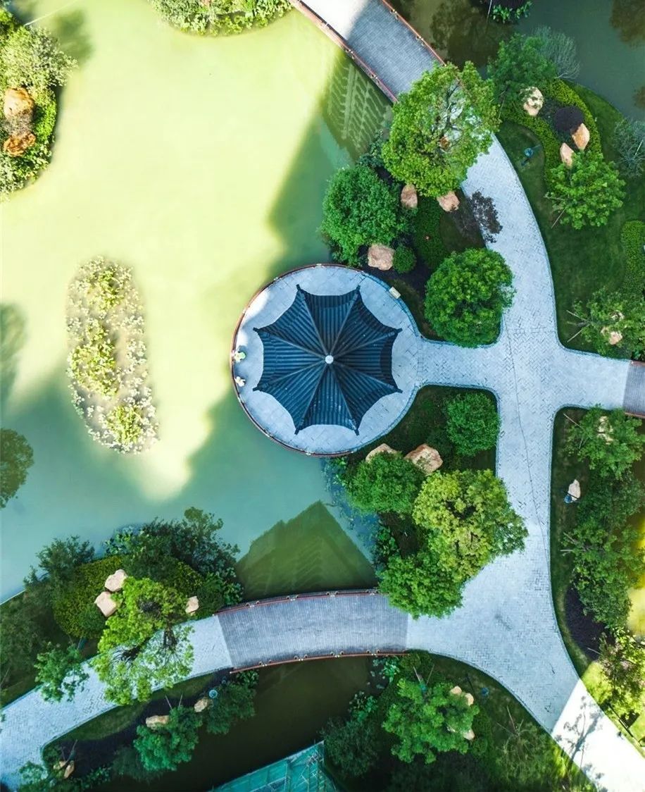 1652863746967499.jpg 8.jpg