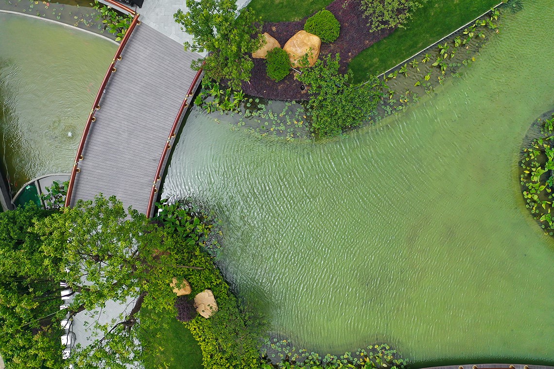 1656644704299529.jpg 配圖2-1.jpg